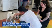 Dog reunited with family 11 years after being stolen from backyard in Philadelphia