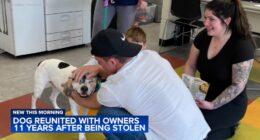 Dog reunited with family 11 years after being stolen from backyard in Philadelphia