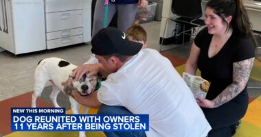 Dog reunited with family 11 years after being stolen from backyard in Philadelphia