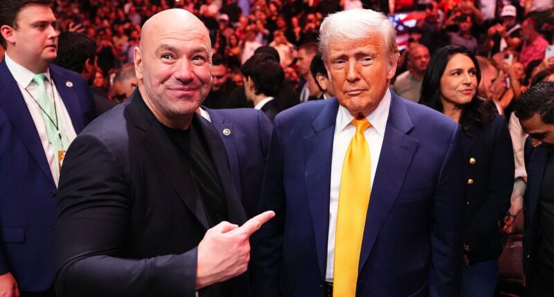 Donald Trump breaks silence amid criticism of UFC's White House event