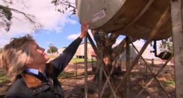 Two fuel tanks on Sarah Thomson's  Ruffy property were siphoned.