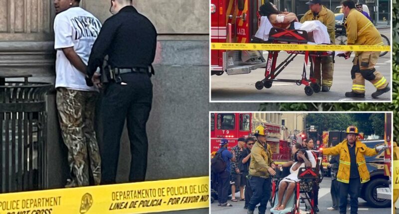 Downtown LA mass stabbing at Zaya sparked by fight over bill