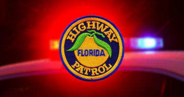 Driver killed after car hits tree, catches fire on Epcot Center Drive