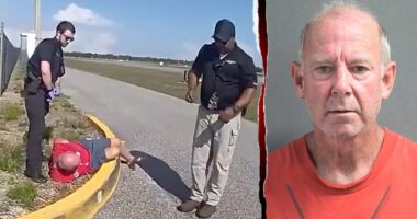 Driver plows through airport gate onto airfield, sneaks onto planes before police takedown, bodycam shows