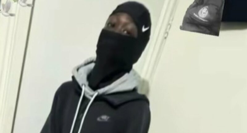 Driver reveals machete terror in deadly alleged botched carjacking