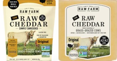 E. coli outbreak linked to raw cheddar cheese grows as two more illnesses reported