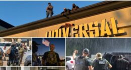 EXCLUSIVE: Criminal Illegal Aliens Behind Dozens of Deadly DWI Crashes in Houston Area, Says ICE