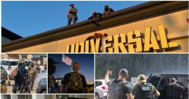 EXCLUSIVE: Criminal Illegal Aliens Behind Dozens of Deadly DWI Crashes in Houston Area, Says ICE