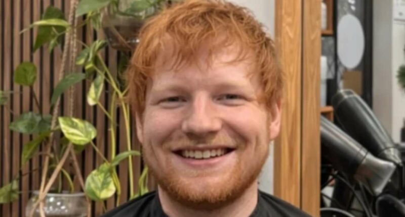Ed Sheeran gets a haircut but it's part of a  controversial trend