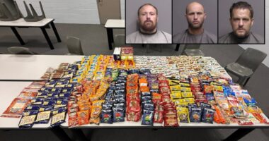 'El Chapo of the Green Roof Inn': Flagler County inmates arrested for alleged drug distribution