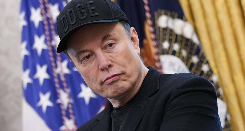 Elon Musk blasts decision by Australian judge to allow pervert to walk free