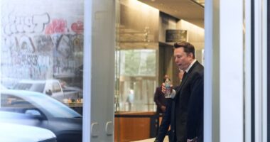 Elon Musk takes stand in Twitter shareholder trial accusing him of deflating stock before purchase