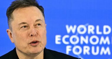 Elon Musk's Grok chatbot will escape Prime Minister's AI nudes ban to fury of Labour women
