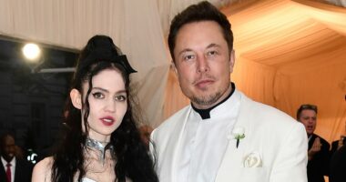 Elon Musk's ex-girlfriend Grimes leaves fans baffled after seemingly joining LinkedIn: 'Recession indicator?'