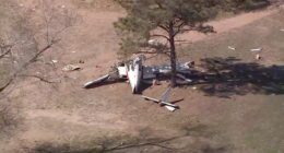 Emergency landing ends in tragedy as plane crashes on New Mexico golf course