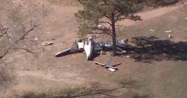 Emergency landing ends in tragedy as plane crashes on New Mexico golf course