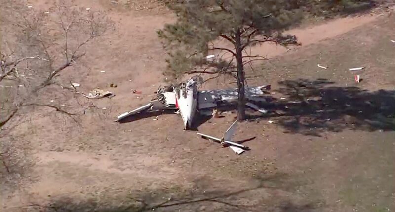Emergency landing ends in tragedy as plane crashes on New Mexico golf course