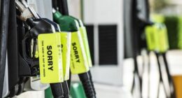 Petrol prices showing BP petrol station in Clovelly 16th March 2026.