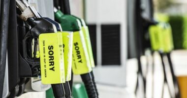 Petrol prices showing BP petrol station in Clovelly 16th March 2026.