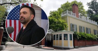 Emir Balat, Ibrahim Kayumi, men who brought explosives to protest outside NYC Mayor Mamdani mansion, inspired by ISIS: complaint