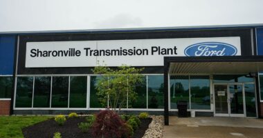 Employee crushed to death in horror industrial accident after press machine unexpectedly turns on