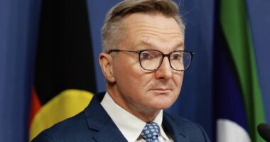 SMH FIRST. Chris Bowen MP speaks to reporters at a press conference to discuss petrol and diesel supply issues related to the ongoing conflict in Iran. March 13, 2026. Photo: Max Mason-Hubers