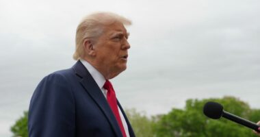 'Enforce the pecking order': Judge dismisses Trump admin lawsuit against California agriculture regulations in order featuring 'clutch' of jokes about 'chickens and eggs'