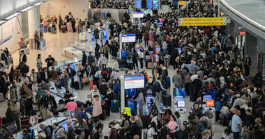 Enhanced role for immigration officers at US airports as shutdown frustrates travels and screeners