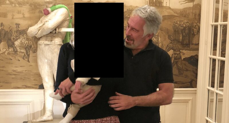 Epstein confessed to having a child with the  'perfect' woman