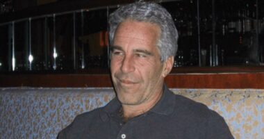 Epstein files were hacked by 'foreign spy' three years ago after secret break-in at FBI office
