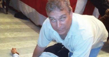 Epstein victim says she swapped massages with Andrew - is this proof?