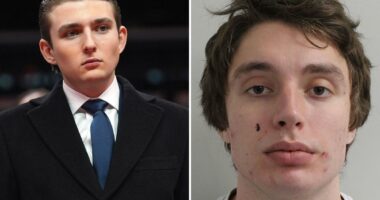 Ex-MMA thug who assaulted woman during her FaceTime call with Barron Trump learns fate