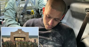 Ex-con accused of killing 2 people outside Players Championship pictured in back of police cruiser after arrest