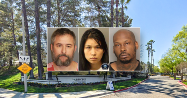 Ex-girlfriend, 3 others nabbed in killing tied to alleged murder-for-hire plot in ‘unusual’ case: police