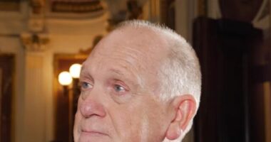 Exclusive -- Tom Homan: Trump Administration's Immigration Policy Far More 'Humane' Than Biden's