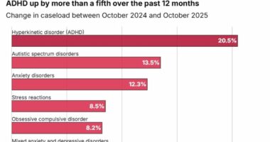 Explosion of 'sickfluencers' online fuelling culture of worklessness