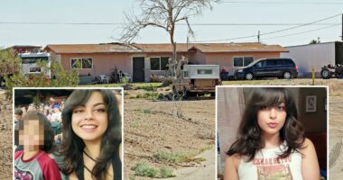 Family of Arizona mom mauled to death by dogs recounts final moments