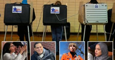 Far-left, 'Squad'-backed Dems crash and burn in Illinois primaries