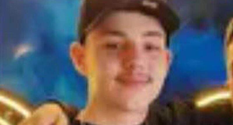 Father loses fight with ex-wife over whether to bury or cremate son