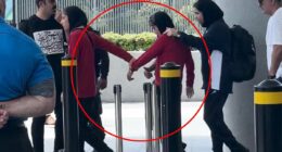 Fears grow for Iranian pulled onto bus as she LEAVES Australia