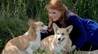 Fergie's plot to clone the Queen's corgis for reality TV