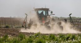 Fertilizer prices surge amid Iran war, sparking food security warnings