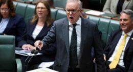 Fines for dodgy petrol pricing doubled as fuel crisis continues