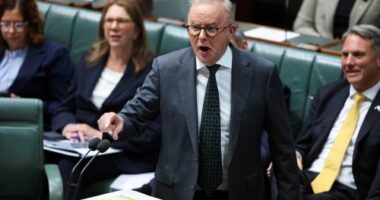 Fines for dodgy petrol pricing doubled as fuel crisis continues