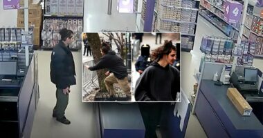 Fireworks executive rips page from Boston bombing playbook to trace NYC terror suspect