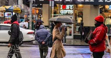 First case of deadly strain of virus that sparked 2022 outbreak is confirmed in New York City