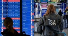 Flight passengers are warned things could get worse amid DHS shutdown, delays and callouts