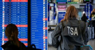 Flight passengers are warned things could get worse amid DHS shutdown, delays and callouts