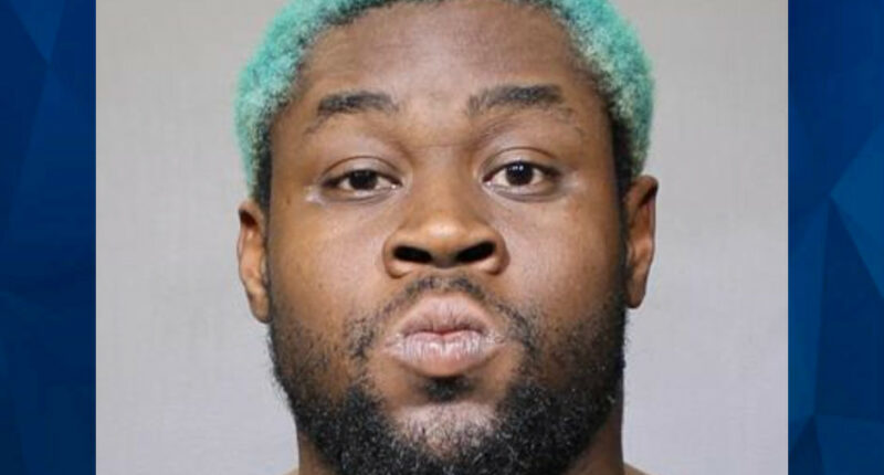 Florida Man Charged With Manslaughter in Death of 5-Week-Old Baby Girl