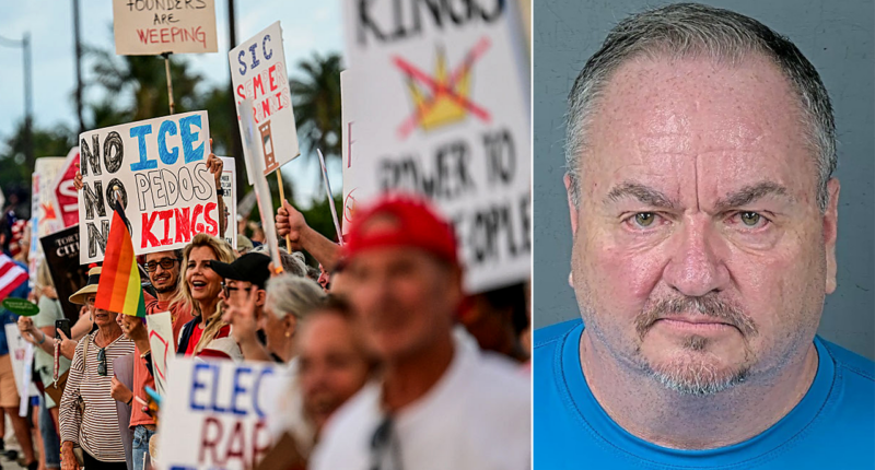 Florida county's Democratic Party chair accused of hitting man in head with bullhorn at 'No Kings' protest